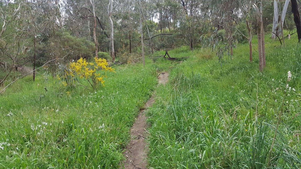 Andrews Reserve Trail | park | Andrews Reserve Trail, Kew VIC 3101, Australia