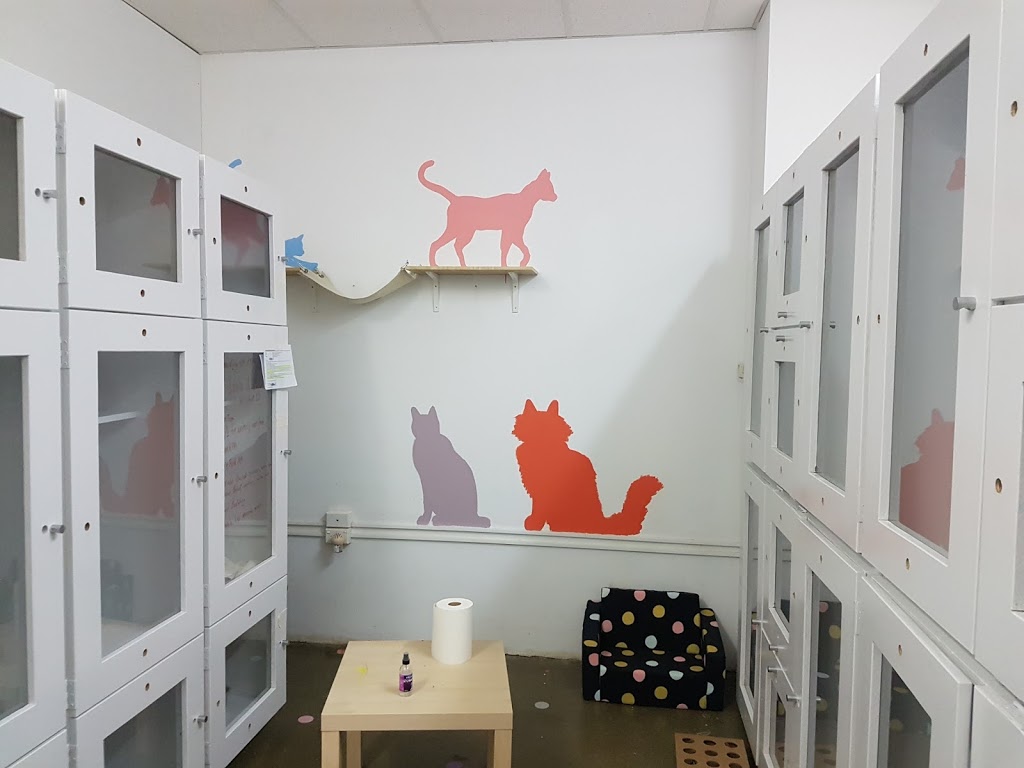 The Lions Den Sydney Cat Hotel | veterinary care | 60 Princes Hwy, St Peters NSW 2044, Australia | 0295160234 OR +61 2 9516 0234