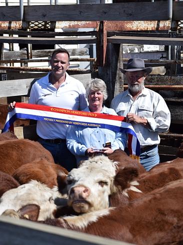 Taronga Poll Herefords | 272 Paschendale-Tahara Rd, Paschendale VIC 3315, Australia | Phone: 0466 015 178