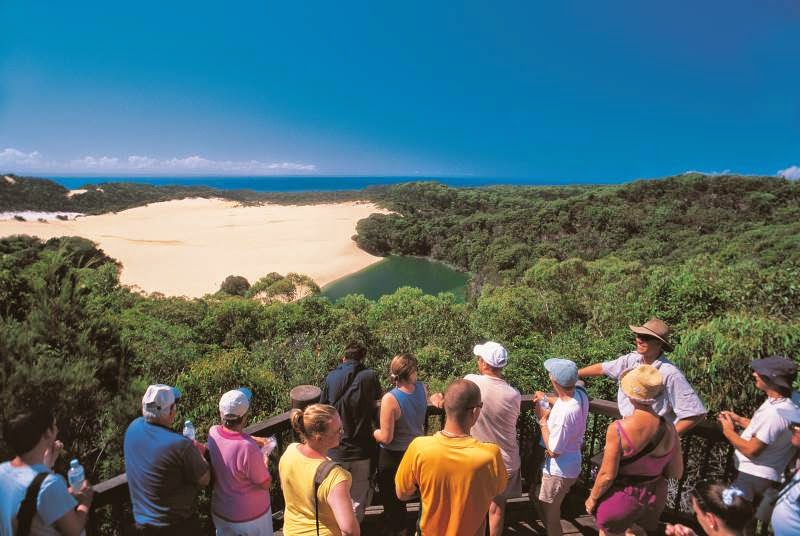 Cool Dingo Tour | 1 Kingfisher Drive, Fraser Island QLD 4581, Australia | Phone: (07) 4120 3333