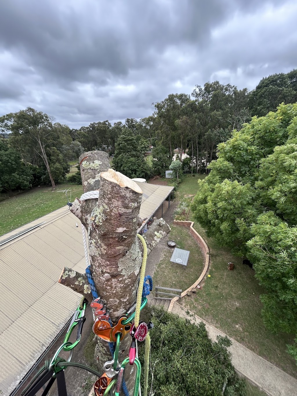 Davies Arboriculture | 135 Emerald-Monbulk Rd, Emerald VIC 3782, Australia | Phone: 0407 118 278