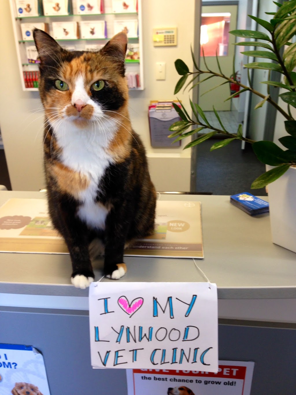 Lynwood Veterinary Clinic | 568 Metcalfe Rd, Ferndale WA 6148, Australia | Phone: (08) 9451 3575