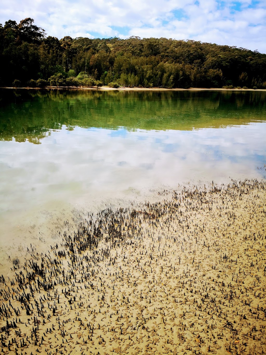 Cullendulla Creek Nature Reserve | park | Surfside NSW 2536, Australia