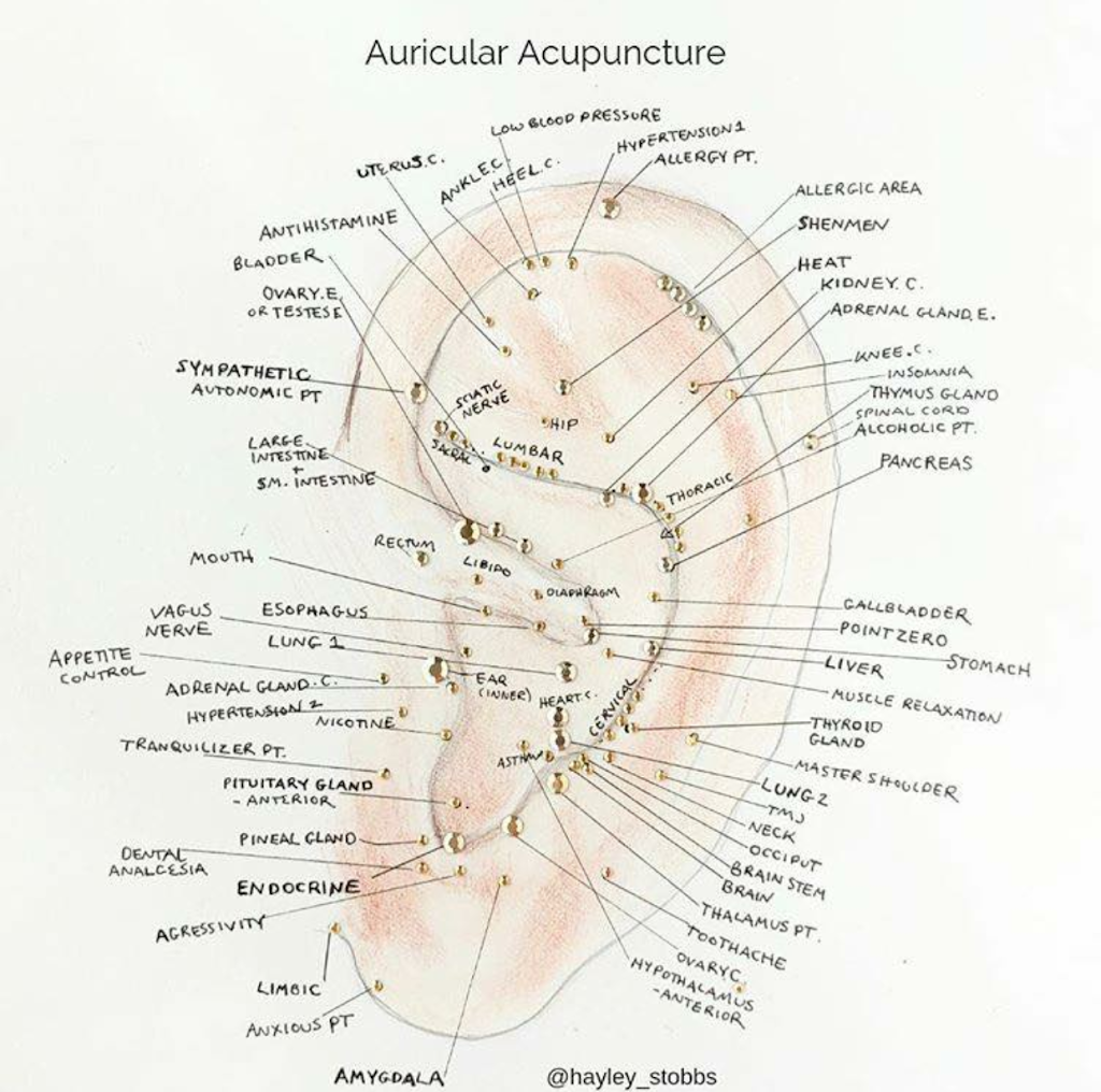 Dr Kate Acupuncture | health | 8 Sette Ct, Greensborough VIC 3088, Australia | 0408365423 OR +61 408 365 423