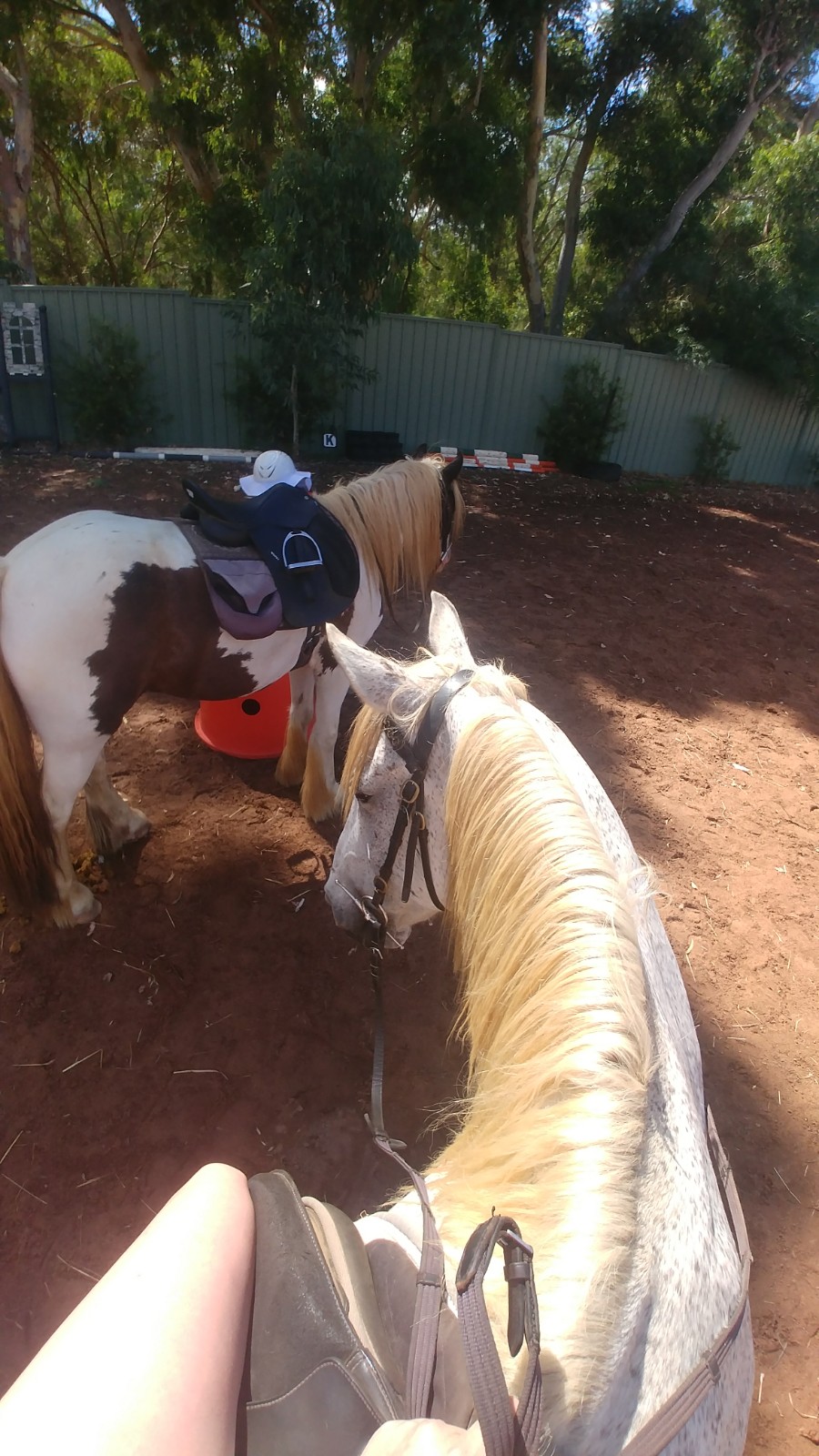 Forge Farm Riding School | 1830 Forge Dr, Chidlow WA 6556, Australia | Phone: 0452 581 183