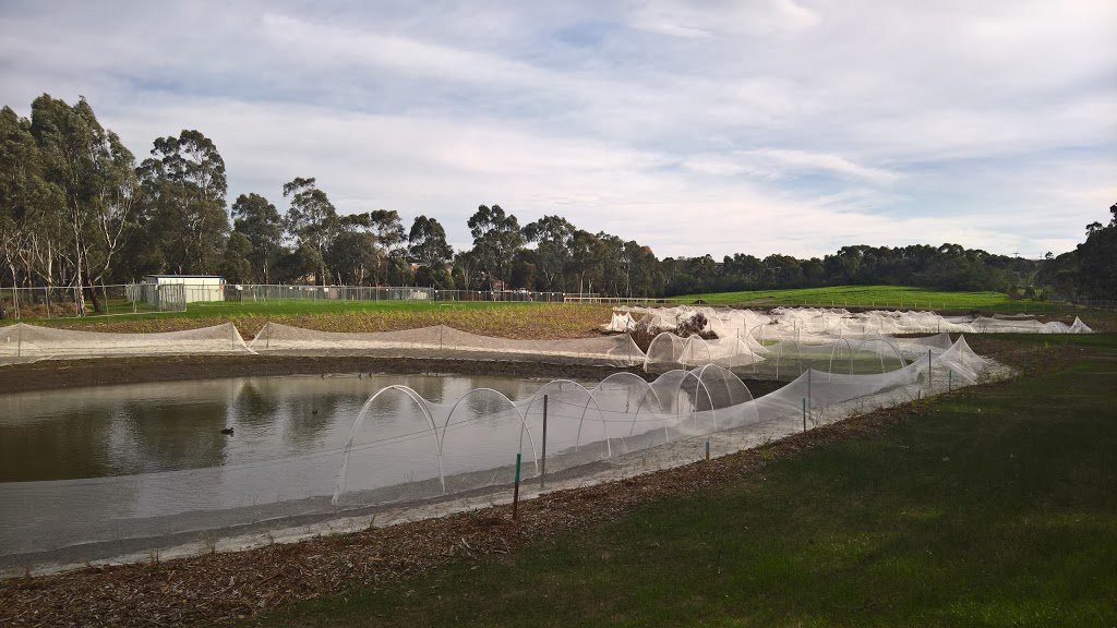 MERRI EDGARS WETLAND | park | LOT 1 Outlook Rd, Coburg North VIC 3058, Australia