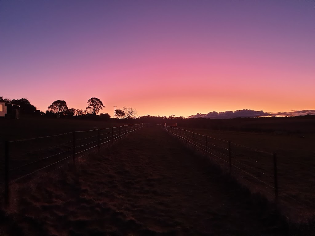 Giaginye Alpacas | 168 Cockatoo Rd, Yalbraith NSW 2580, Australia | Phone: 0419 250 928