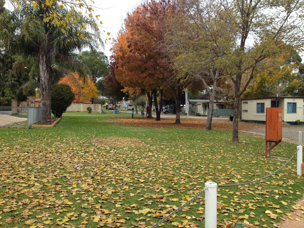 Young Tourist Caravan Park | rv park | 17 Edwards St, Young NSW 2594, Australia | 0263822190 OR +61 2 6382 2190