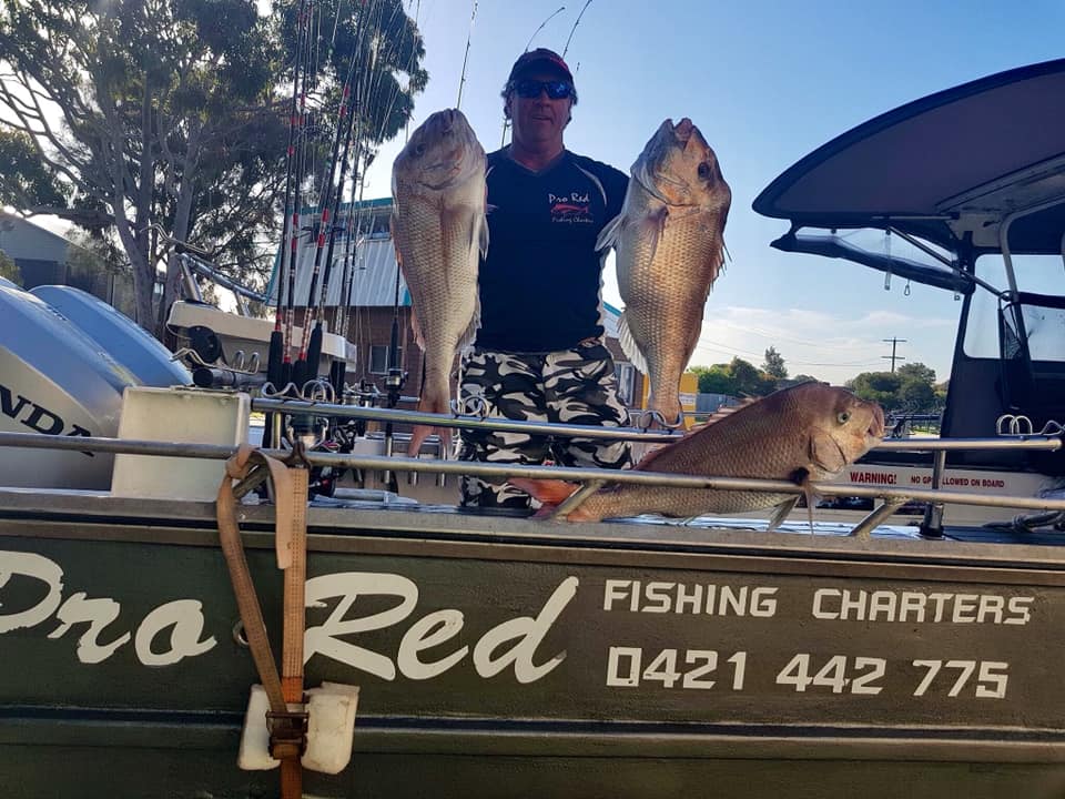 Pro Red Fishing Charters Melbourne | 1 Schnapper Point Dr, Mornington VIC 3931, Australia | Phone: 0421 442 775