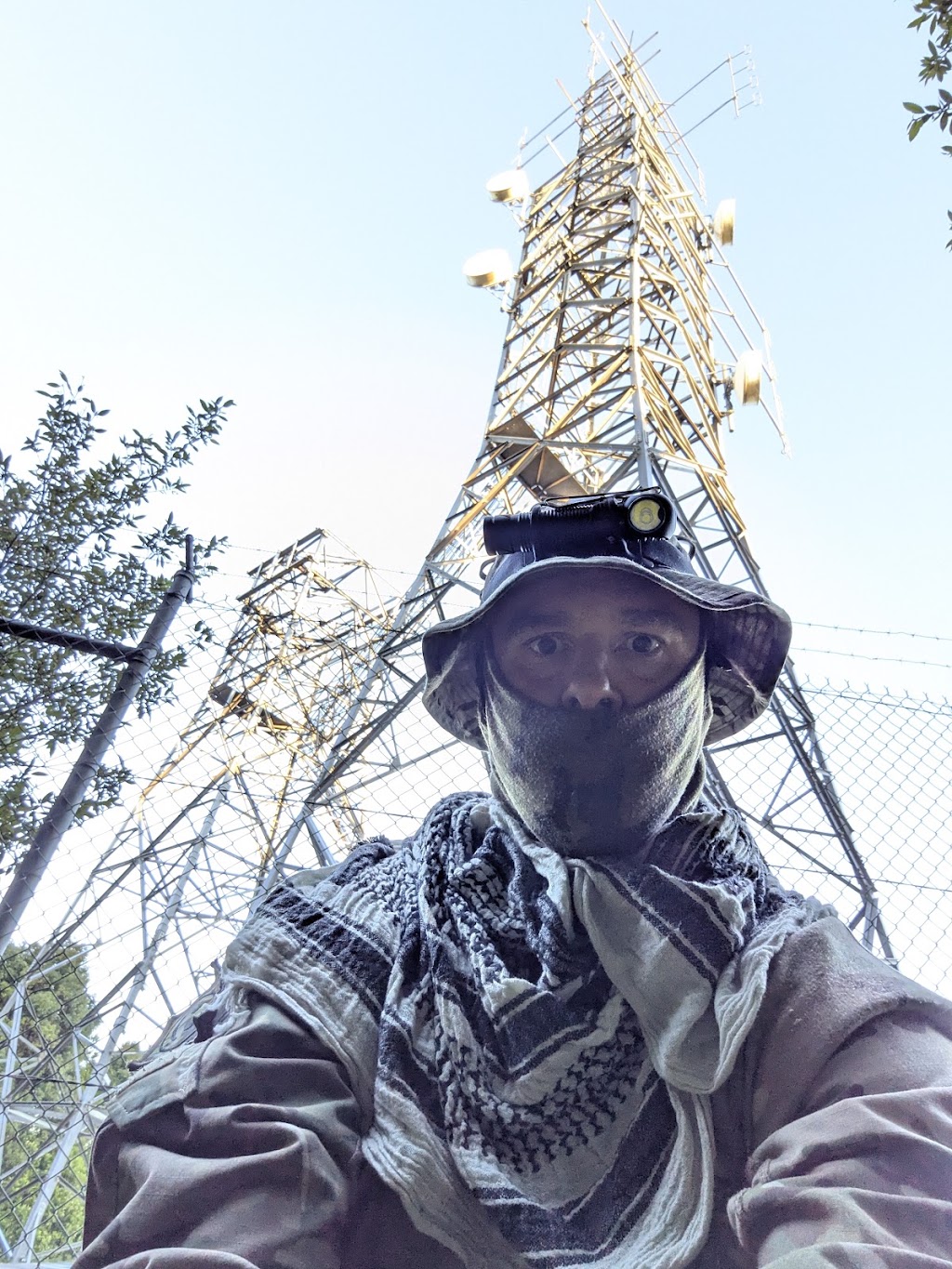 Merlin2828 | 402 Repeater Station Rd, Springbrook QLD 4213, Australia | Phone: 0407 232 881