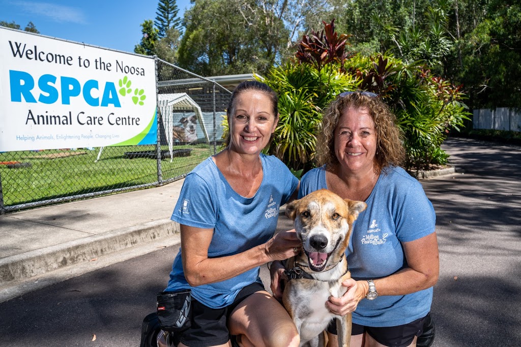 RSPCA Noosa | Cnr Hollett and, W Eumundi Rd, Noosaville QLD 4562, Australia | Phone: (07) 5449 1371