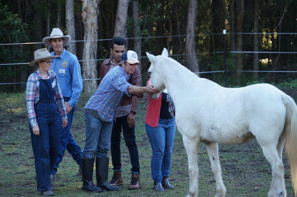 Skerrett Equine | 505 Crossmaglen Rd, Bonville NSW 2450, Australia | Phone: 0413 072 922