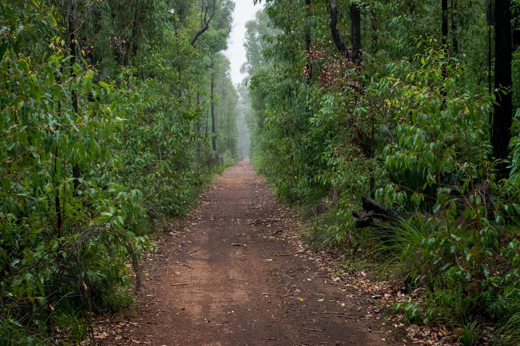 Munday Brook Walk Trail | park | Karragullen WA 6111, Australia