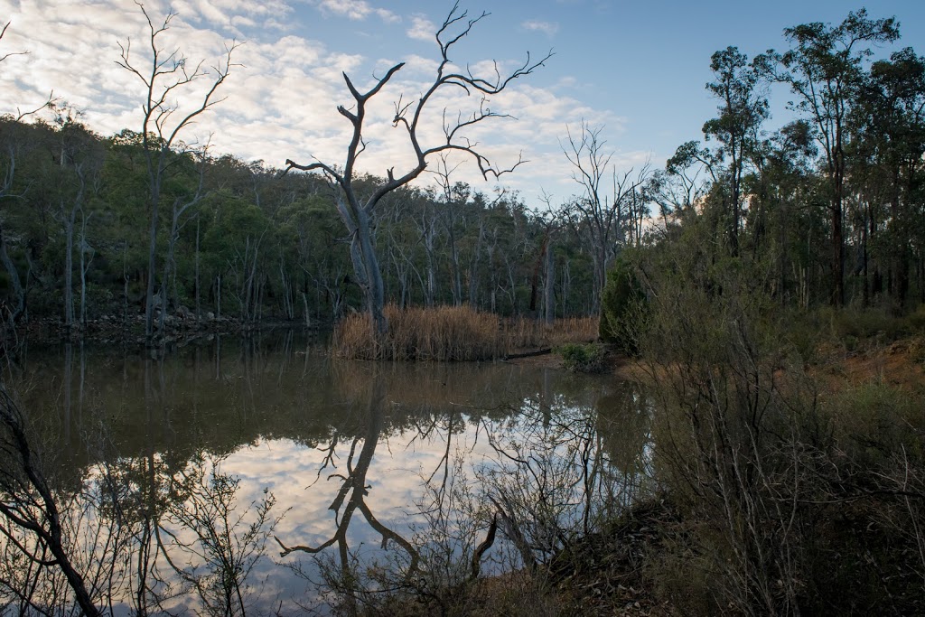 Paruna Wildlife Sanctuary | zoo | Clenton Rd, Gidgegannup WA 6083, Australia | 0895723169 OR +61 8 9572 3169