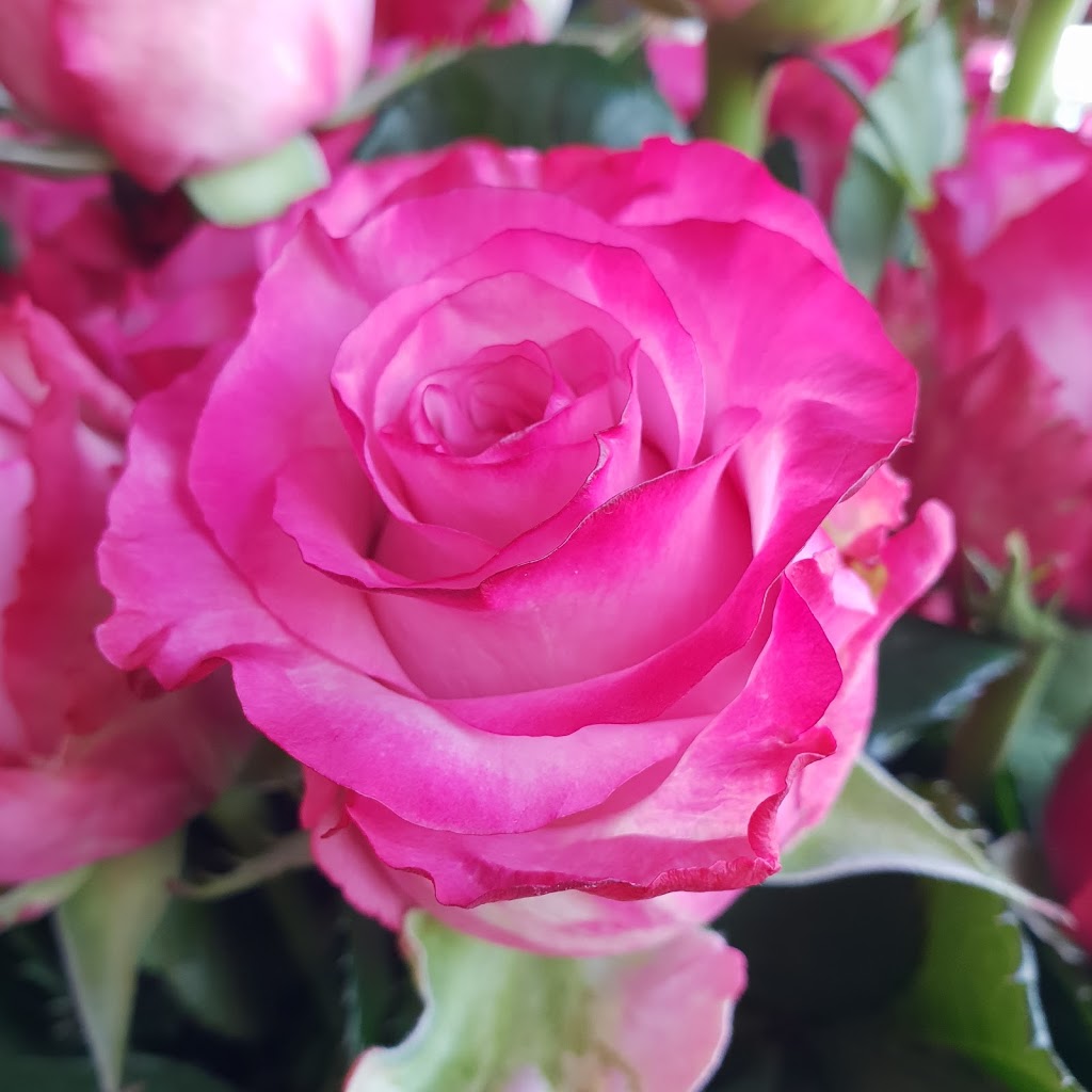 J&E Wholesale Flowers | 105 Devon Rd, Devon Meadows VIC 3977, Australia | Phone: 0422 015 492