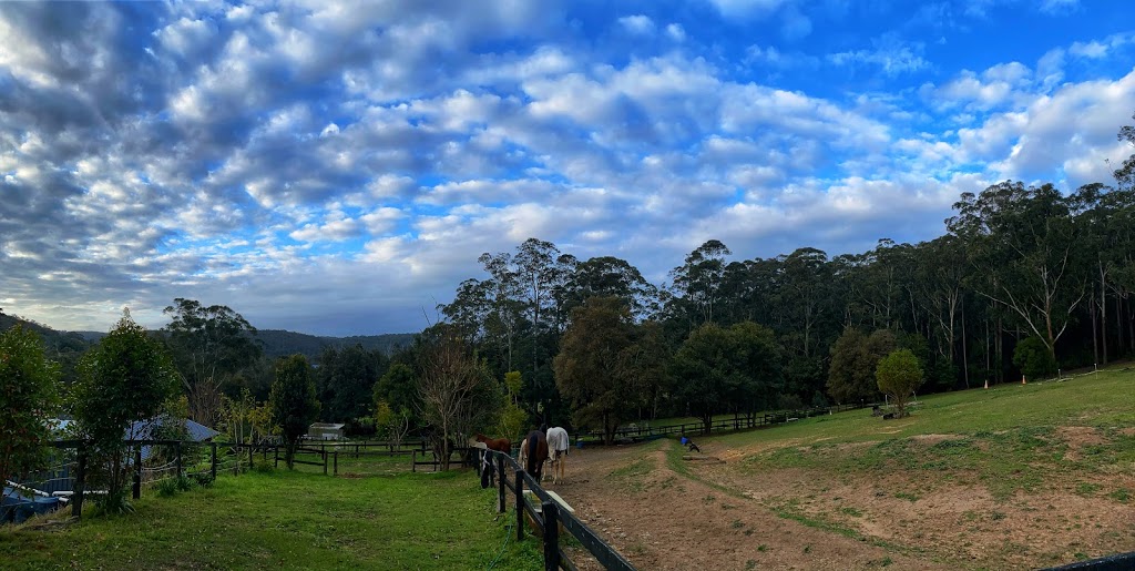 Foxhill Equestrian | 142 Pacific Hwy, Ourimbah NSW 2258, Australia | Phone: 0416 122 259