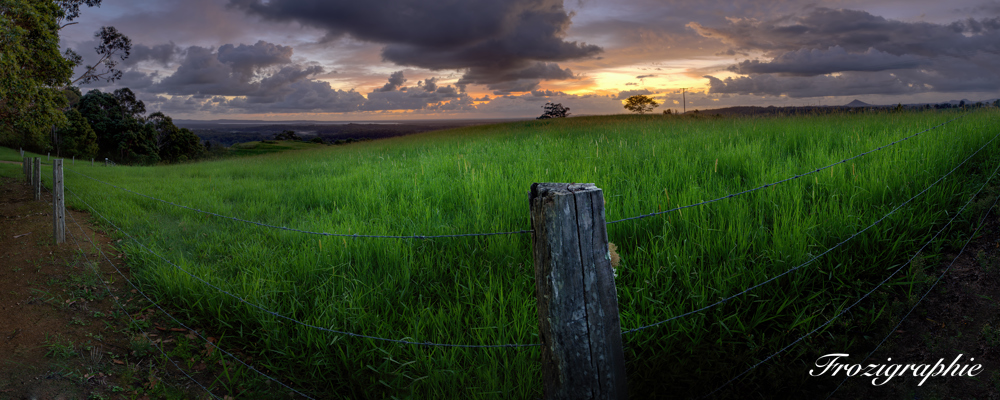 Frozigraphie nature photography | 19a Hessen Pl, Ringtail Creek QLD 4565, Australia | Phone: 0411 722 521