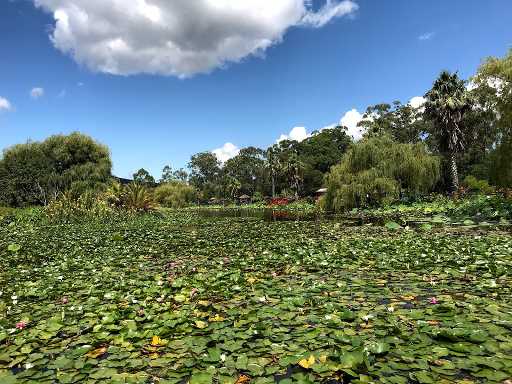 Blue Lotus Water Garden | park | Yarra Junction VIC 3797, Australia