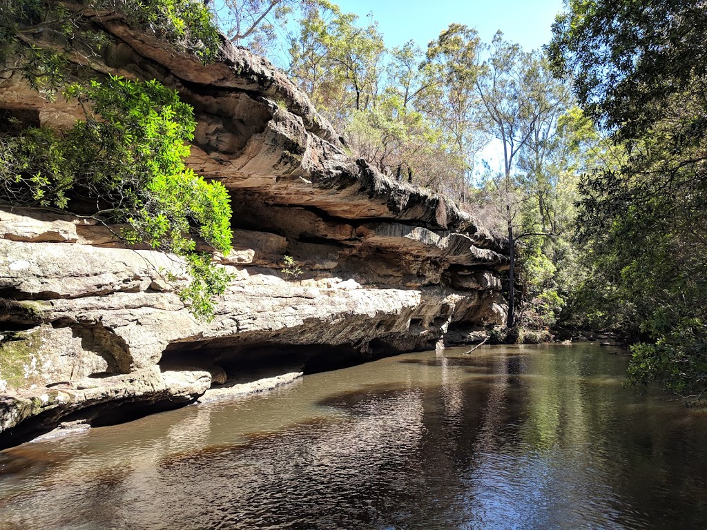 Bomaderry Creek Regional Park | Narang Rd, Bomaderry NSW 2541, Australia | Phone: 1300 662 808