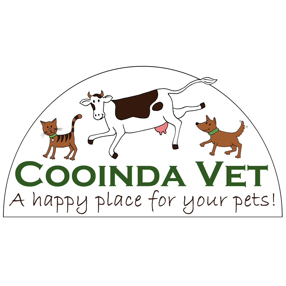 Cooinda Vet Hospital | veterinary care | 5/50-52 George St, Marulan NSW 2579, Australia | 0248411033 OR +61 2 4841 1033