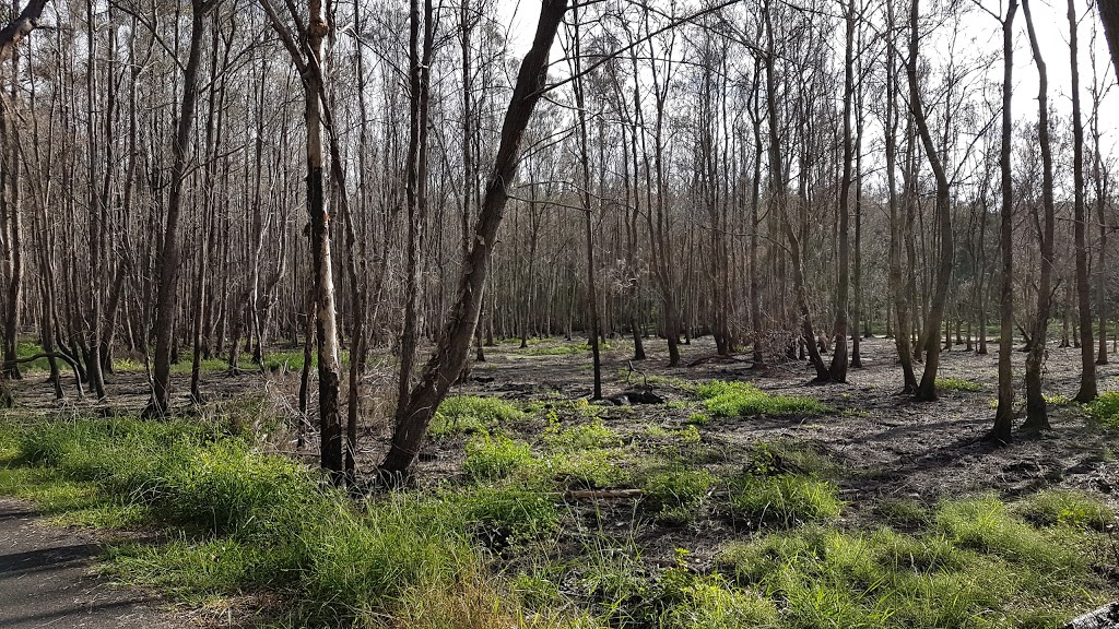 Boondall Wetlands Environment Centre | 326 Stanworth Rd, Boondall QLD 4034, Australia | Phone: (07) 3403 8888