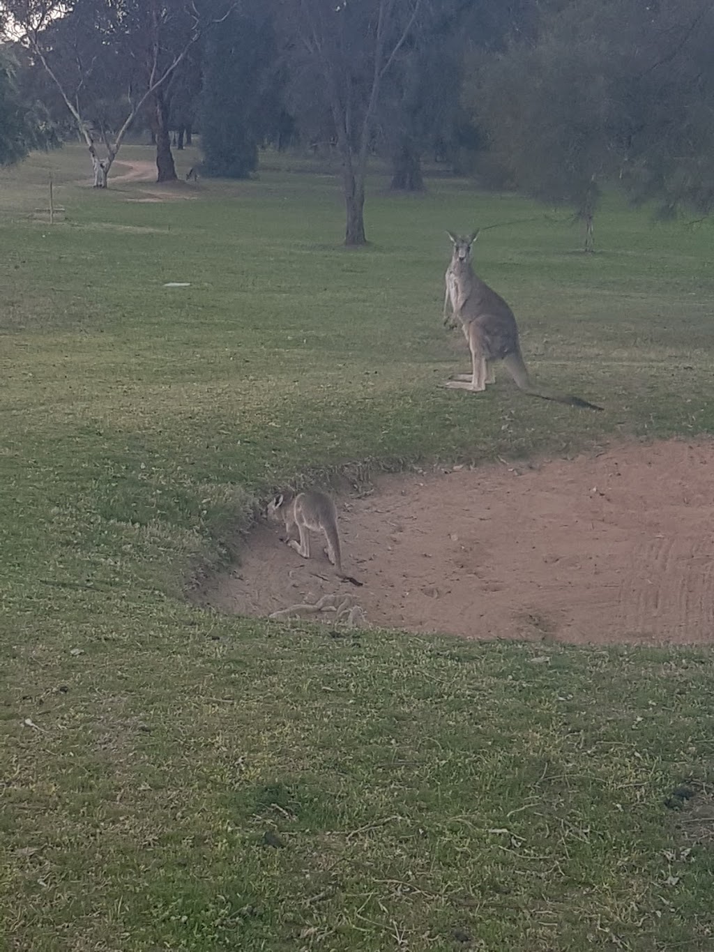 Wagga City Golf Club | Sturt Hwy, Wagga Wagga NSW 2650, Australia | Phone: (02) 6931 6275