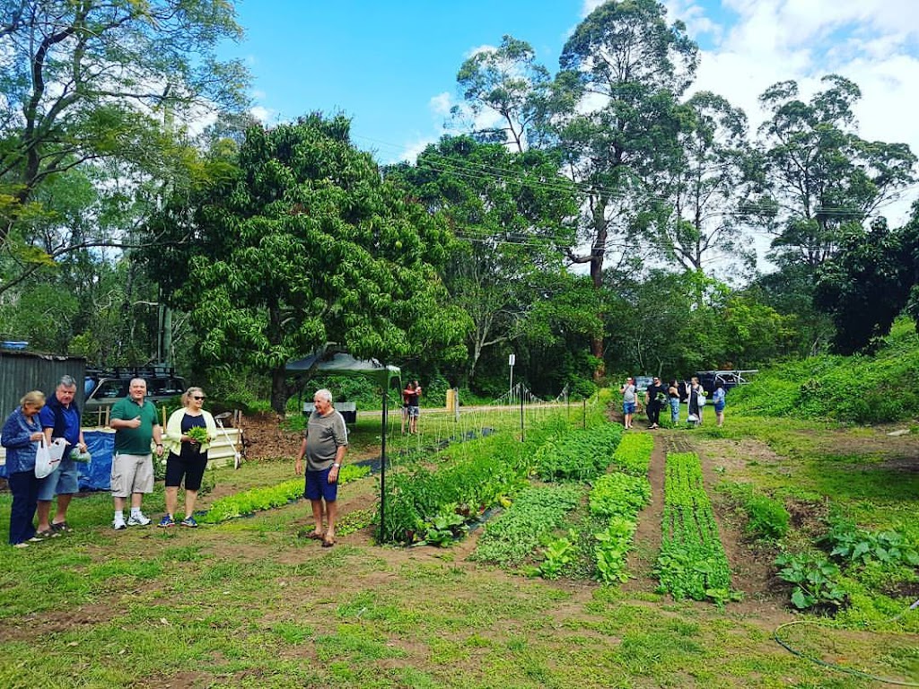 Lot 81 Micro Farm | 9 Rangeleigh St, Ferny Hills QLD 4055, Australia | Phone: 0468 919 237