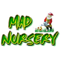 Mad Nursery | park | 220 Bicentennial Dr, Agnes Water QLD 4677, Australia | 0749749996 OR +61 7 4974 9996