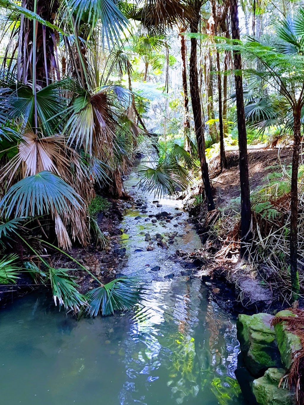 Jamieson Park | park | The Esplanade, Narrabeen NSW 2101, Australia