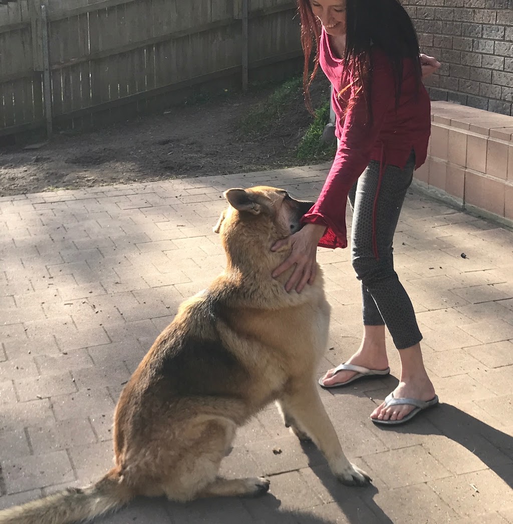 Dogs Love | 3 Delia Ave, Budgewoi NSW 2262, Australia | Phone: 0402 126 029