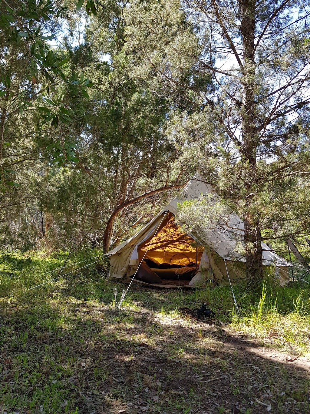 Douglas Scrub Campsite - Girl Guides SA Inc. | 216 Douglas Gully Rd, Blewitt Springs SA 5171, Australia | Phone: (08) 8383 0155