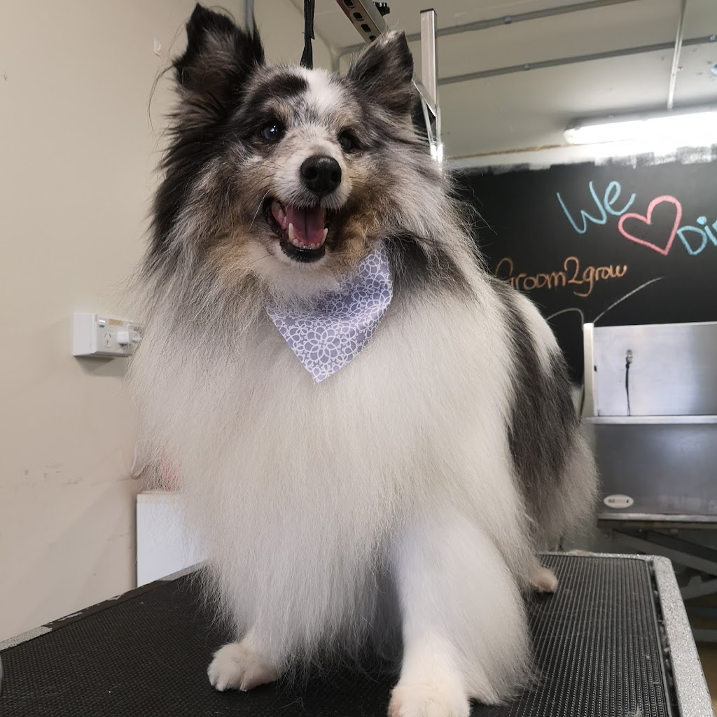 Groom 2 Grow Parramatta | shop 72A pine st, rydalmere. NSW 2116, Rydalmere NSW 2151, Australia | Phone: 0478 299 966