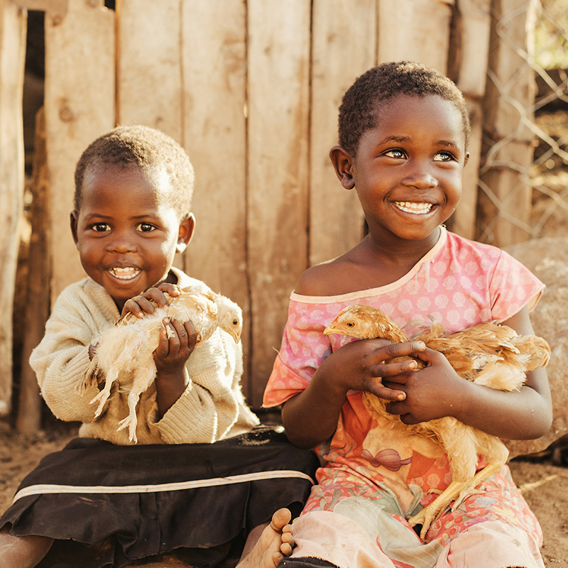 Compassion Australia | 30 Warabrook Blvd, Warabrook NSW 2304, Australia | Phone: 1300 224 453