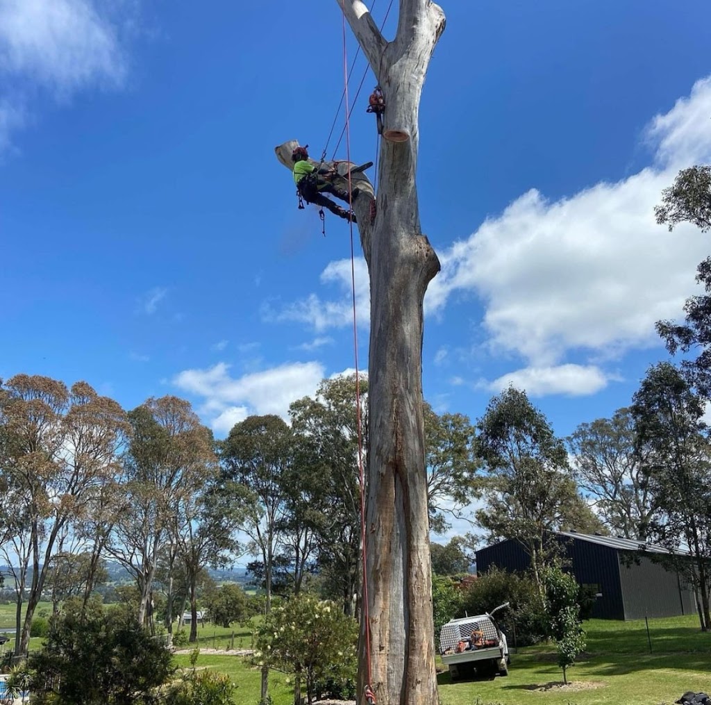 James Godfrey Arborist Far South Coast | 65 Jellat Way, Kalaru NSW 2550, Australia | Phone: 0490 874 272