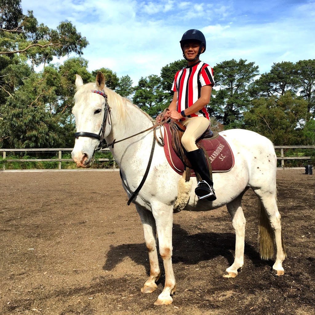 Tranquil Park Stables | 168 Browns Rd, Cranbourne South VIC 3977, Australia | Phone: 0418 170 984