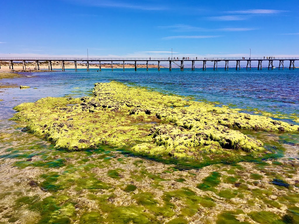 Playground | Esplanade, Port Noarlunga SA 5167, Australia | Phone: (08) 8384 0666