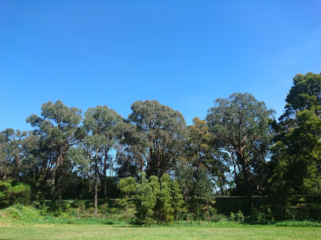 Mount Evelyn Skatepark |  | 2 Gardner Parade, Mount Evelyn VIC 3796, Australia | 1300368333 OR +61 1300 368 333