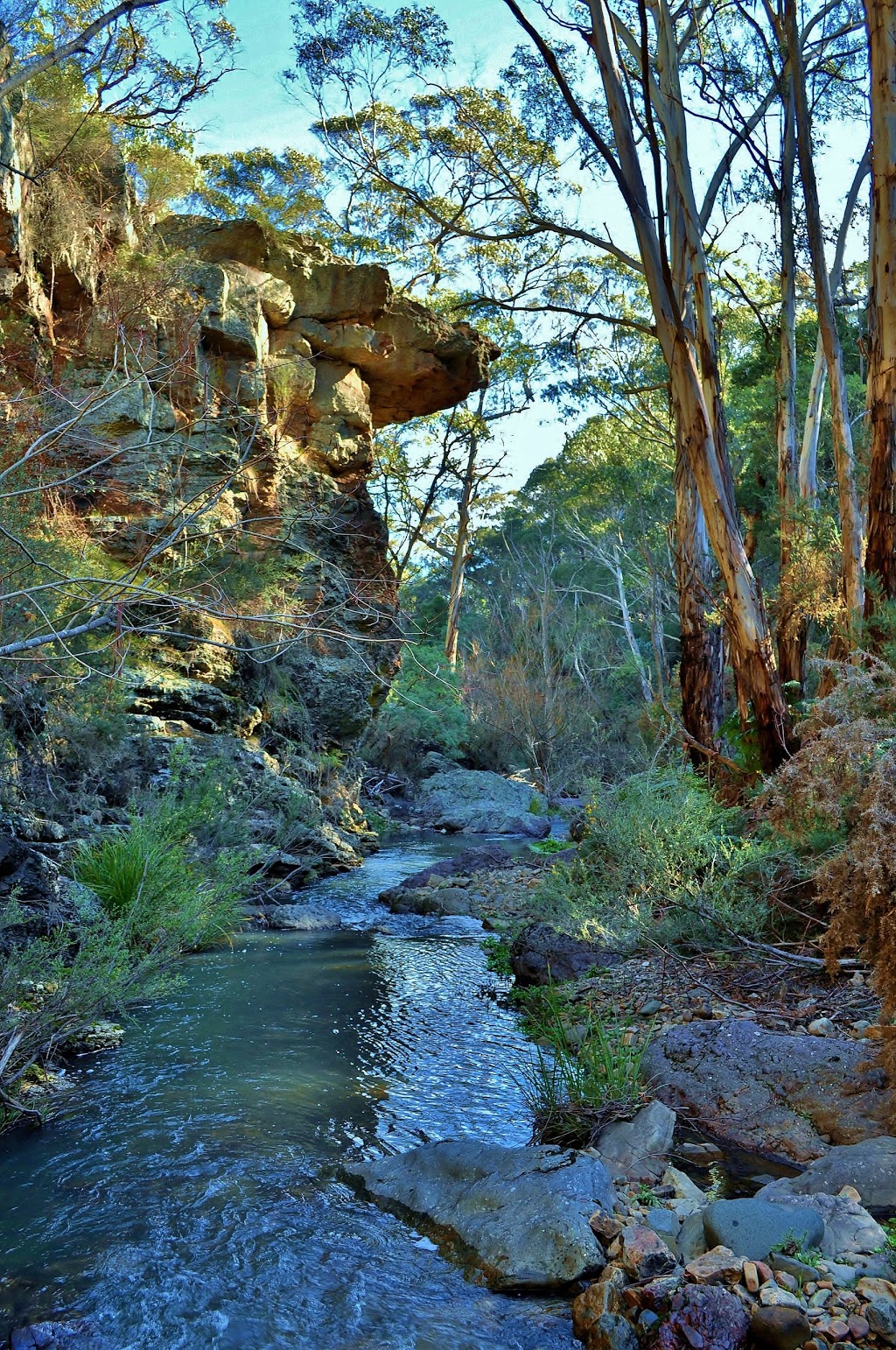 Winburndale Nature Reserve | park | Winburndale NSW 2795, Australia