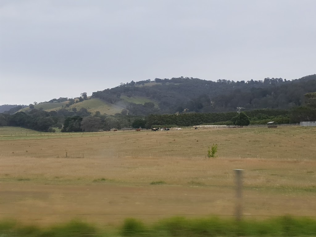 Yarra Glen Cemetery | Eltham-Yarra Glen and, Glenview Rd, Yarra Glen VIC 3775, Australia | Phone: 1300 022 298