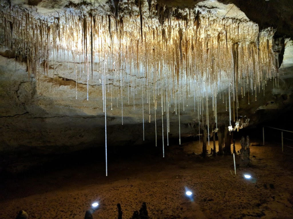 Naracoorte Caves National Park Visitor Centre |  | Joanna SA 5271, Australia | 0887622340 OR +61 8 8762 2340