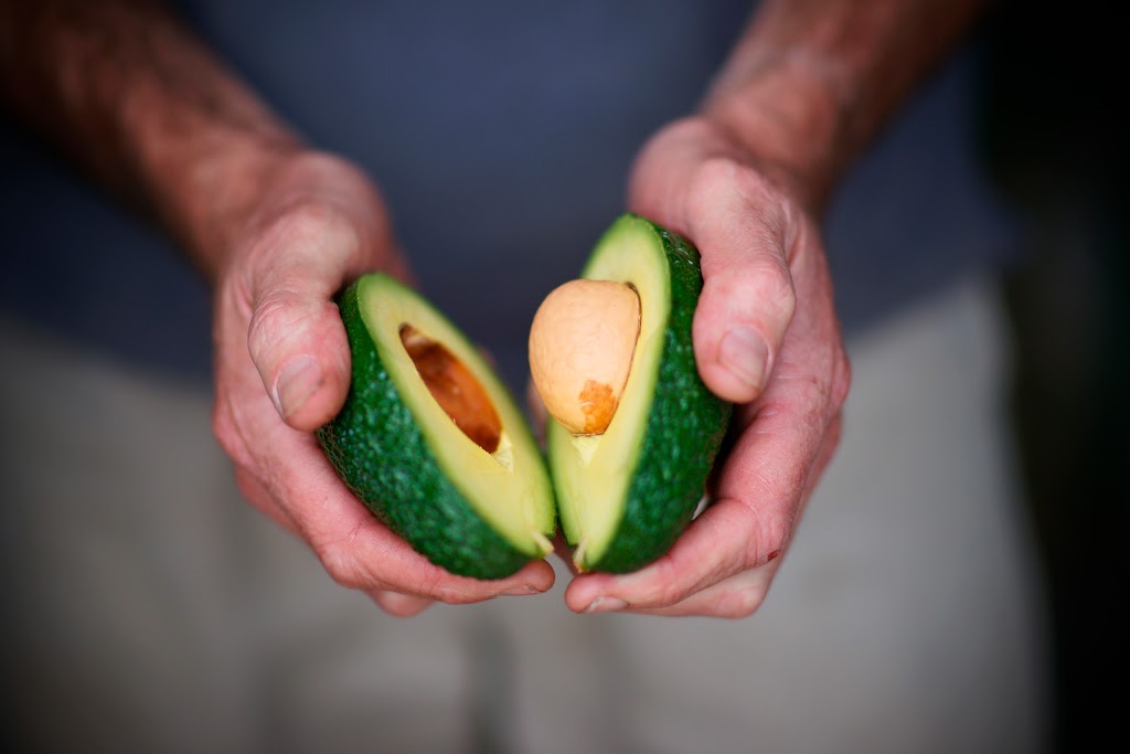 Barham Avocados | Gonn Rd, Barham NSW 2732, Australia | Phone: 0428 475 442