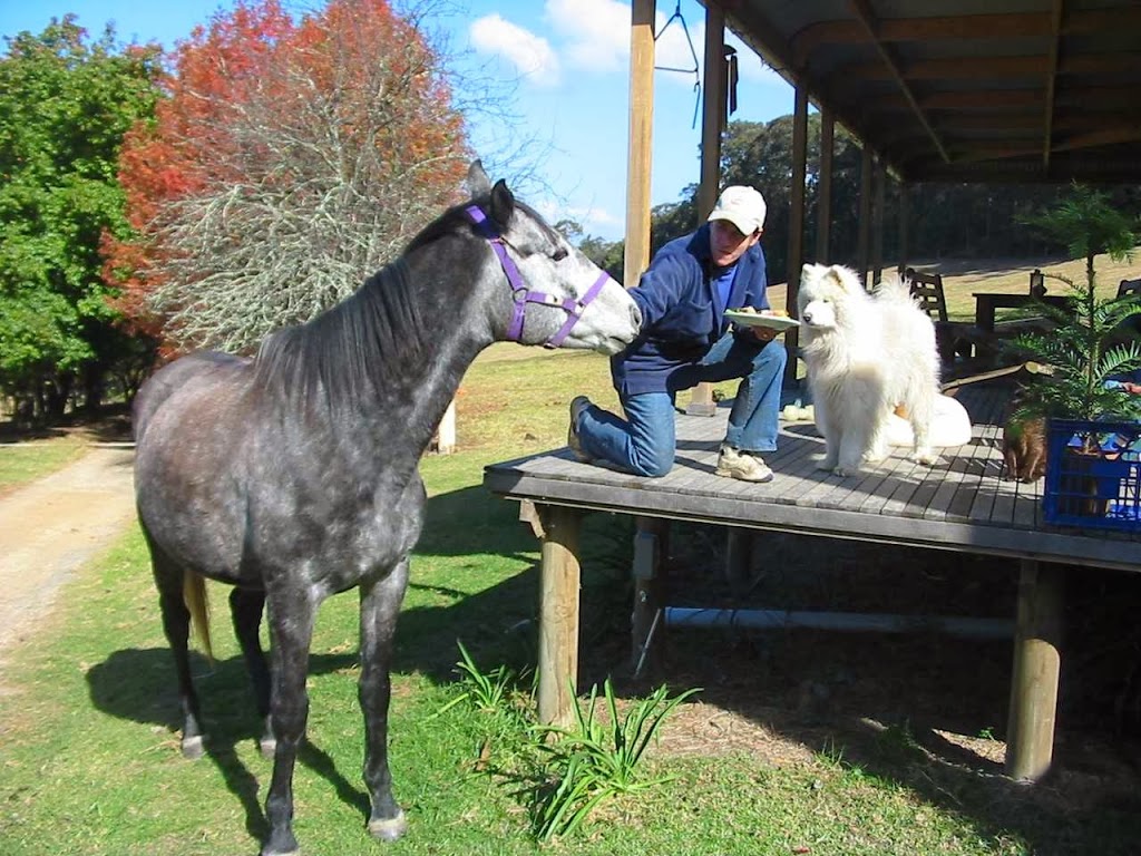Kangaroo Valley Horse Riding | 24 Hillcrest View Ln, Kangaroo Valley NSW 2577, Australia | Phone: (02) 4465 1912