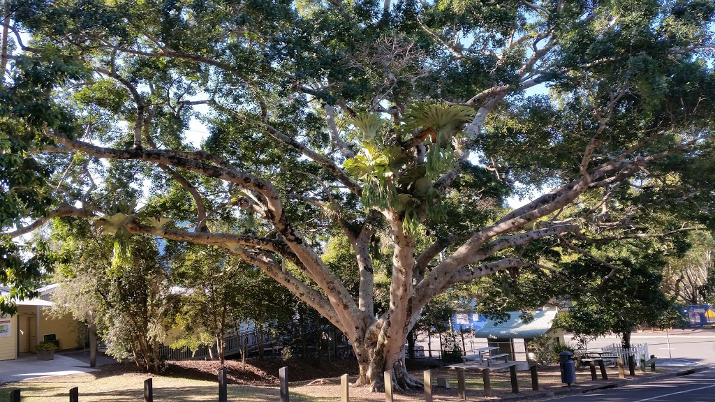 Australia Post | post office | 71 Memorial Dr, Eumundi QLD 4562, Australia | 0754428202 OR +61 7 5442 8202