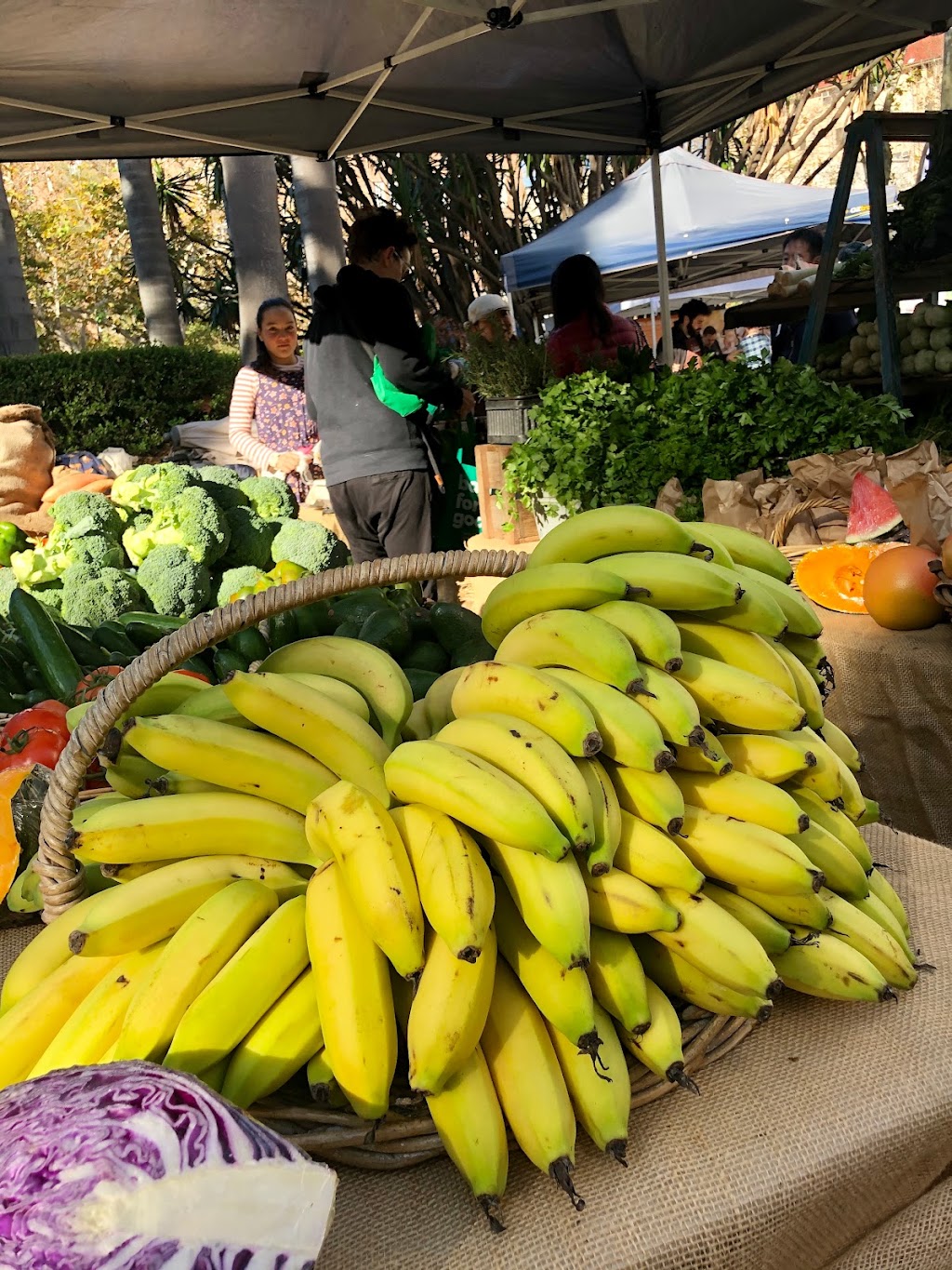 St Ives Showground Market | 454A Mona Vale Rd, St Ives NSW 2075, Australia | Phone: (02) 9999 2226
