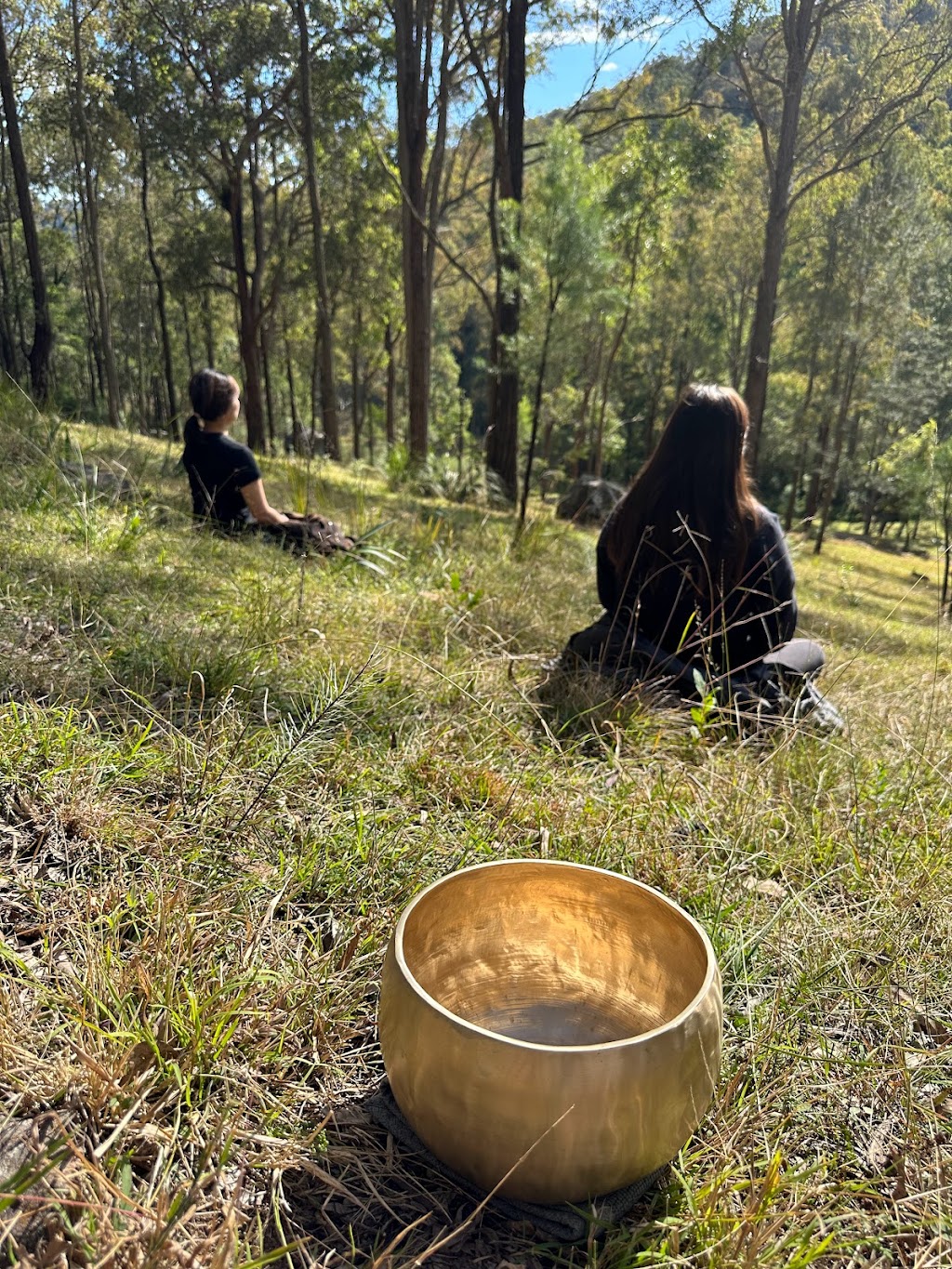 Bori Empty Mind Meditation 보리사 菩提心空禪院 | 387 Murrays Run Rd, Laguna NSW 2325, Australia | Phone: 0403 590 308