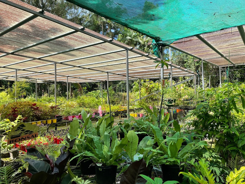 Violets and Lace Nursery |  | 359 Coquette Point Rd, Coquette Point QLD 4860, Australia | 0419433379 OR +61 419 433 379