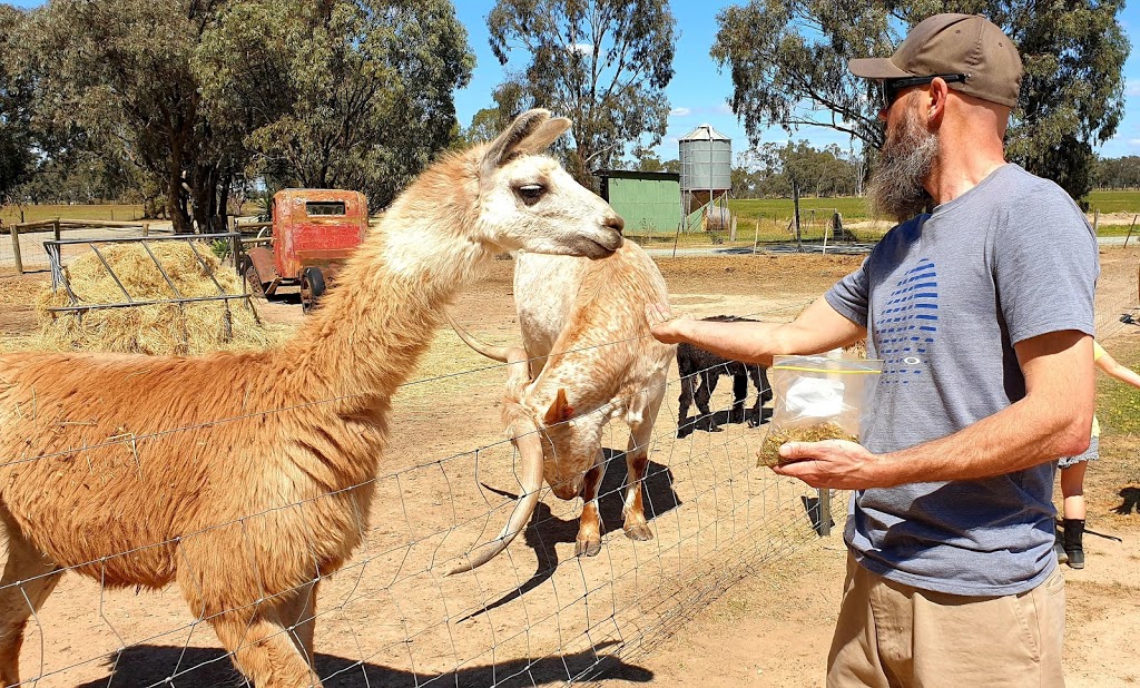 Billabong Ranch | tourist attraction | Glanville Rd & Tehan Road, Echuca VIC 3564, Australia | 0354835122 OR +61 3 5483 5122