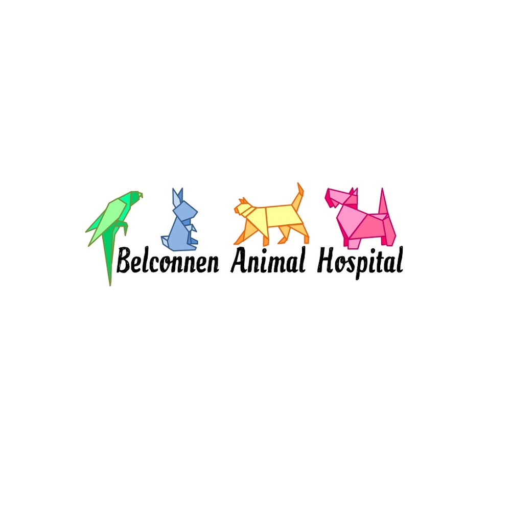 Belconnen Animal Hospital | veterinary care | 1 Belconnen Way & Coulter Drive, Weetangera ACT 2614, Australia | 0262542122 OR +61 2 6254 2122