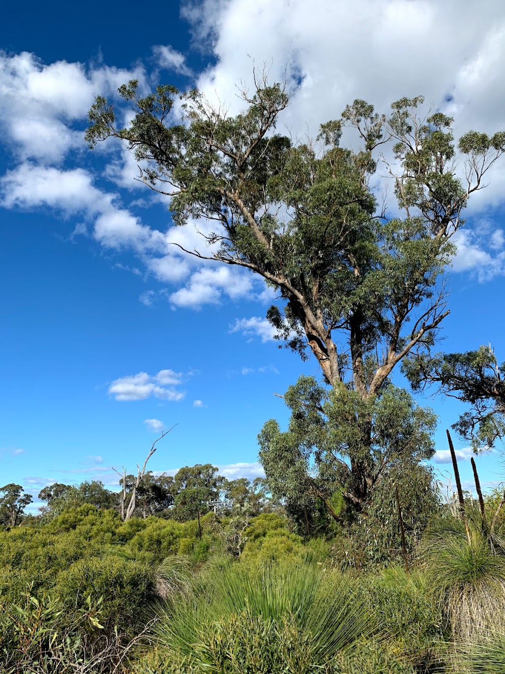 Dixon Road Conservation Precinct | Dixon Rd, Rockingham WA 6168, Australia | Phone: (08) 9528 0333