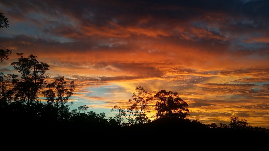 Ride On Mary...Kayak & Bike Bush Adventures | 578 Lowe Rd, Bollier QLD 4570, Australia | Phone: 0400 297 678